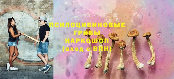 дмт Балахна